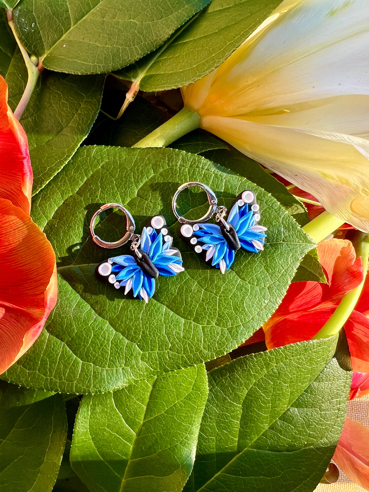 Mariposa Mia