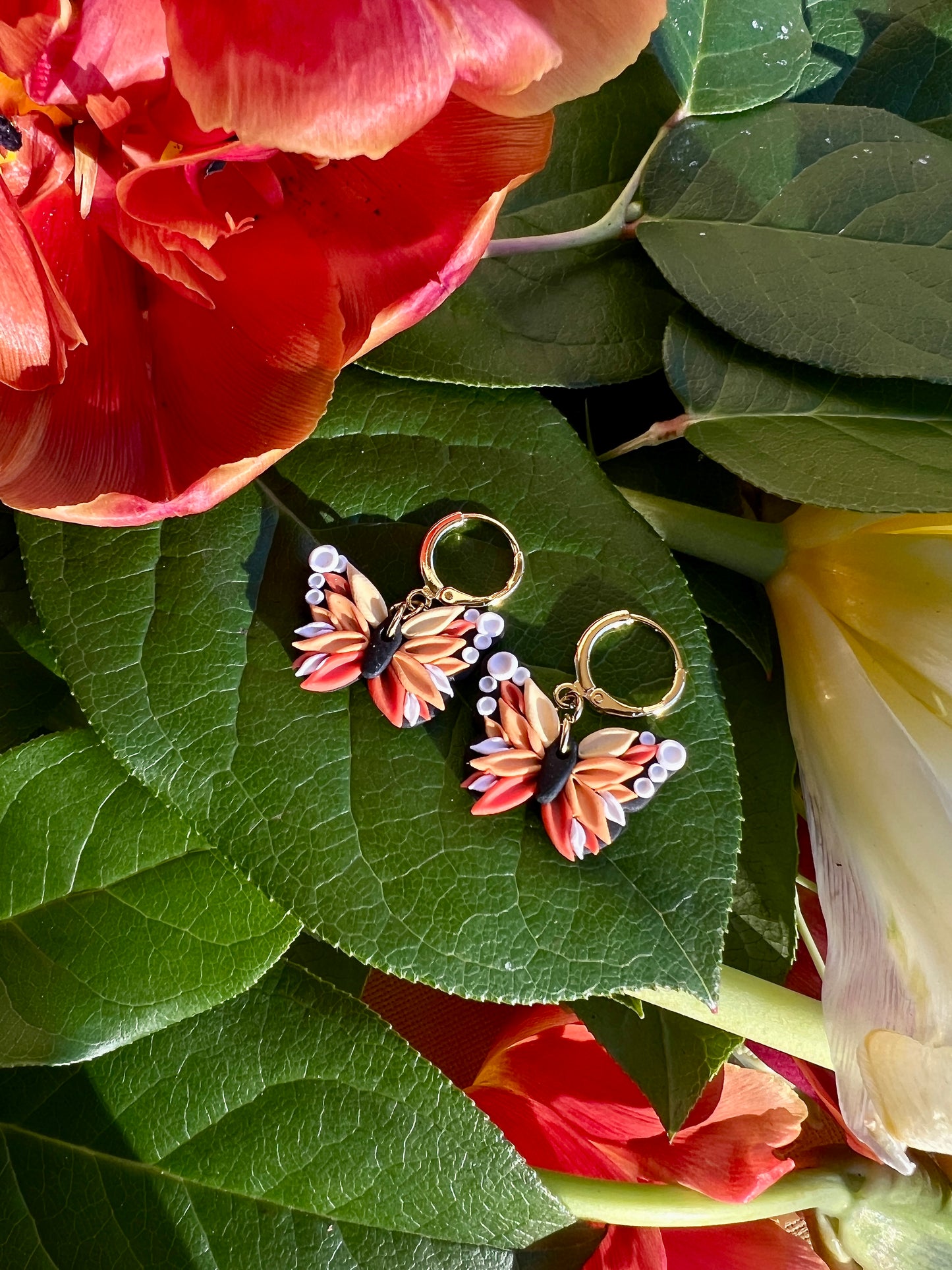 Mariposa Mia